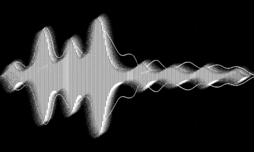 The Woman Who Listened