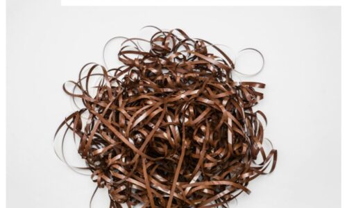 Listening for ‘Life’: Notes from Sound+Purpose Conference at Lund University